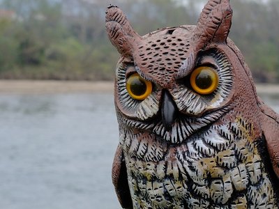 🌊 영국 해안 (이기리스 카이간) 이미지 2